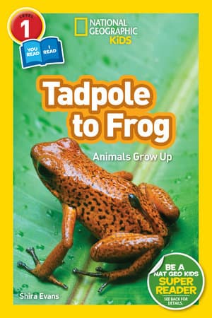 Tadpole to Frog: Animals Grow Up