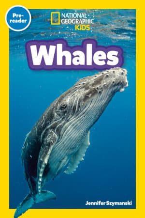 Whales